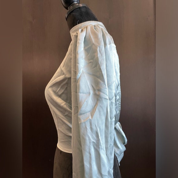 Satin High Neck Backless Blouse - Picture 8 of 13